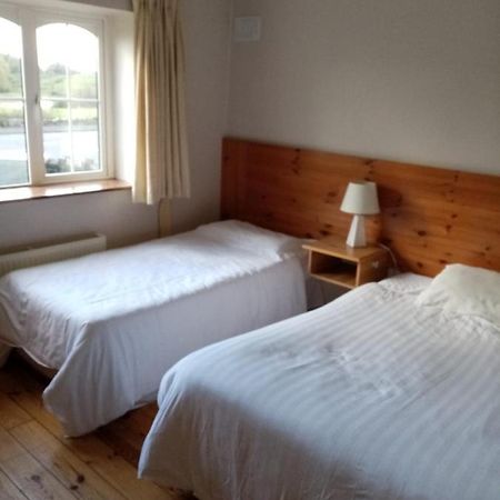 Parnell House Bed & Breakfast Ennis Bagian luar foto