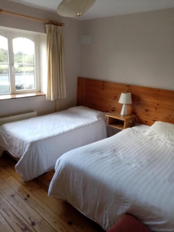 Parnell House Bed & Breakfast Ennis Bagian luar foto